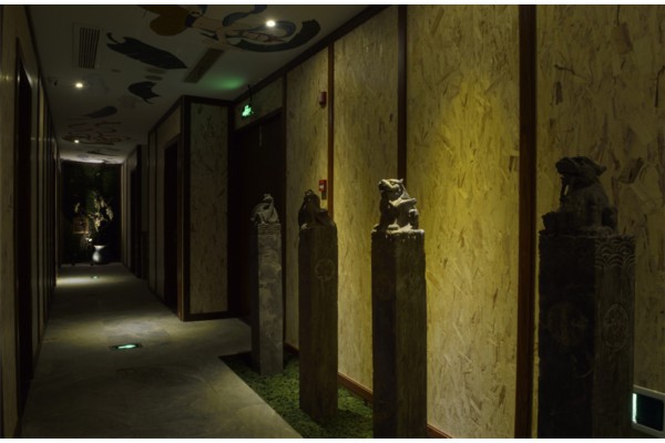 探秘成都大胡子特色茶馆养生之道(成都大胡子网红)